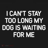 I CanT Stay Too Long My Dog Is Waiting For Me Funny Jokes Women's Hoodie thumb 2