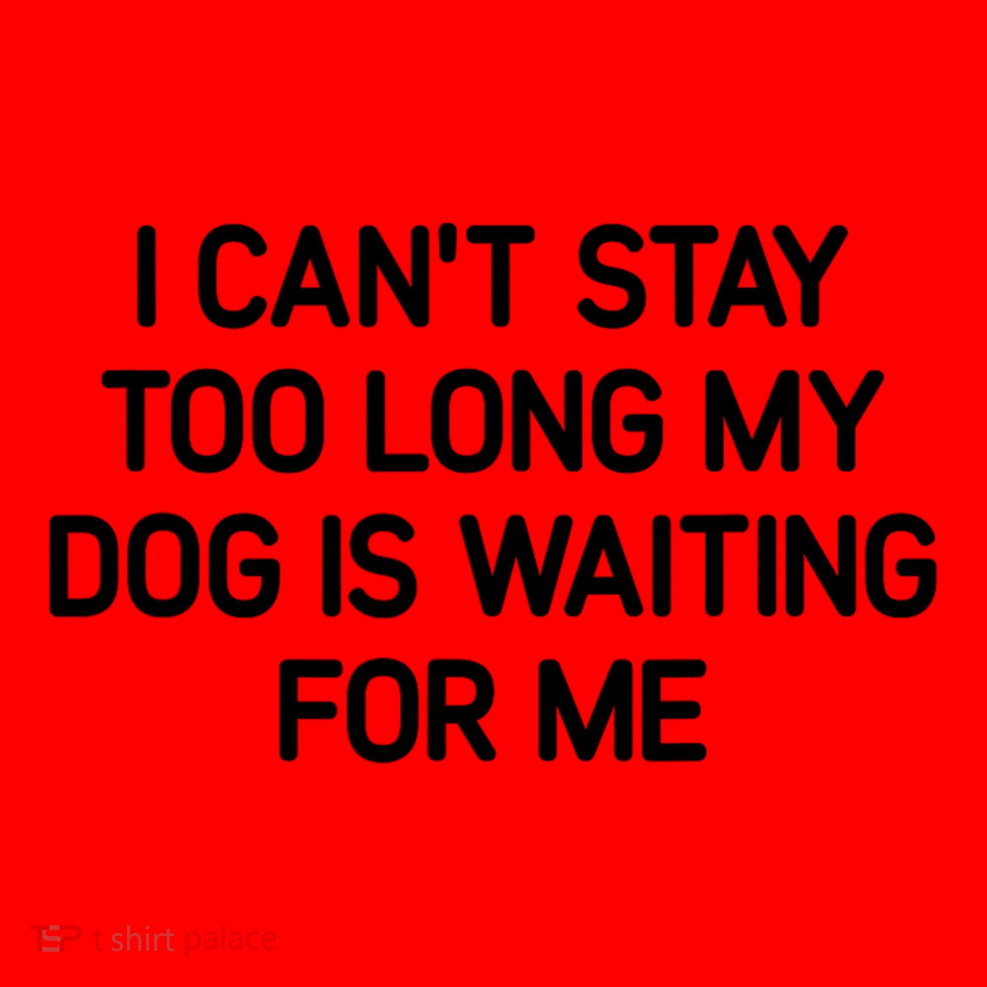 I CanT Stay Too Long My Dog Is Waiting For Me Funny Jokes Santa Hat
