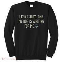 I CanT Stay Long My Dog Is Waiting For Me Mom Dad Dog Owner Sweatshirt thumb 0