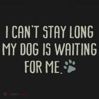 I CanT Stay Long My Dog Is Waiting For Me Mom Dad Dog Owner Ornament thumb 1