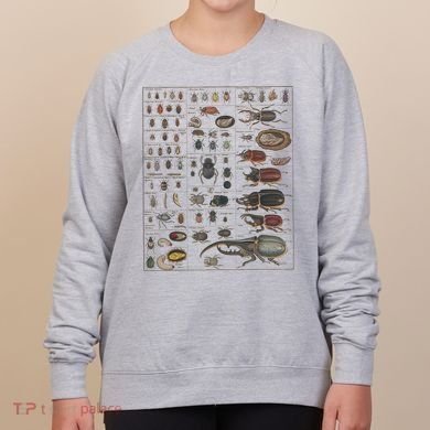 Insects Collection Species Bugs Vintage Chart Entomology Women's Sweatshirt