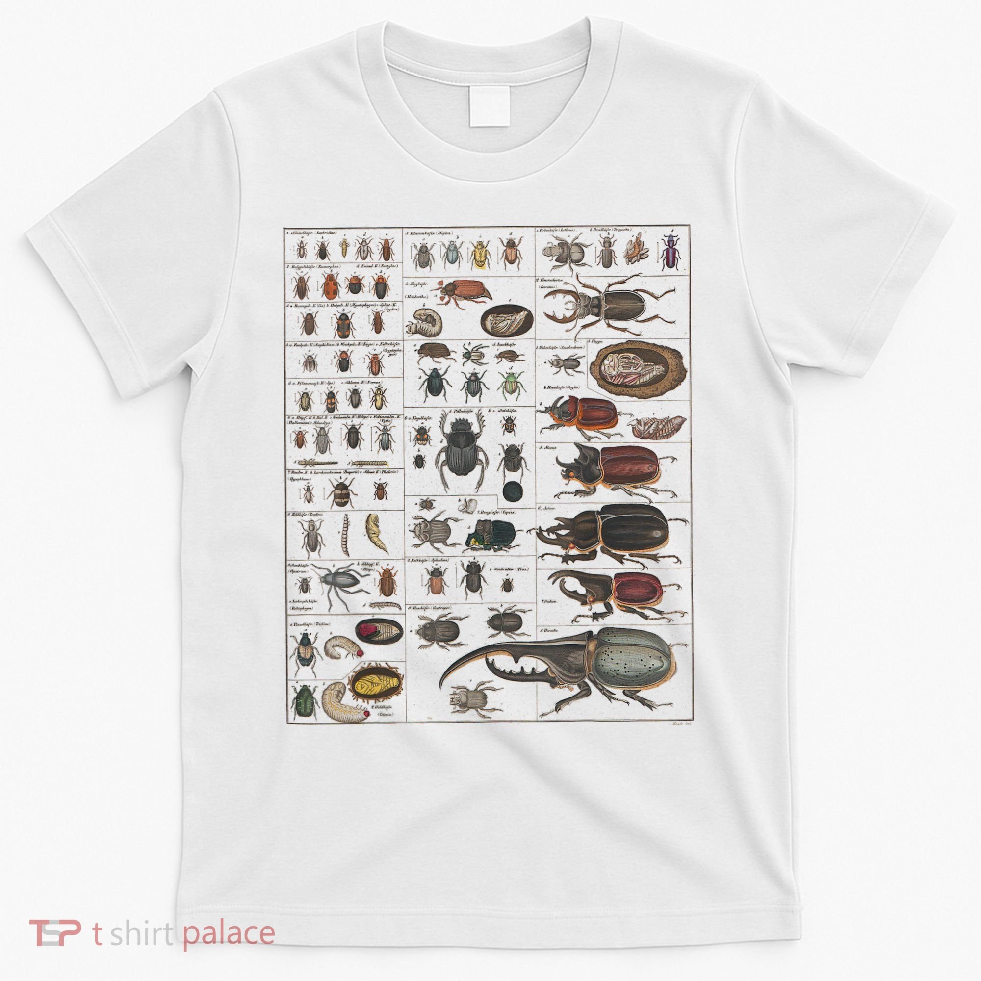 Insects Collection Species Bugs Vintage Chart Entomology T-Shirt