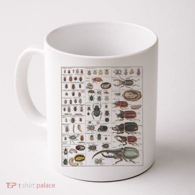 Insects Collection Species Bugs Vintage Chart Entomology Coffee Mug
