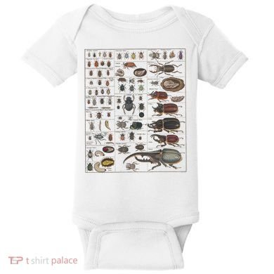 Insects Collection Species Bugs Vintage Chart Entomology Baby Bodysuit