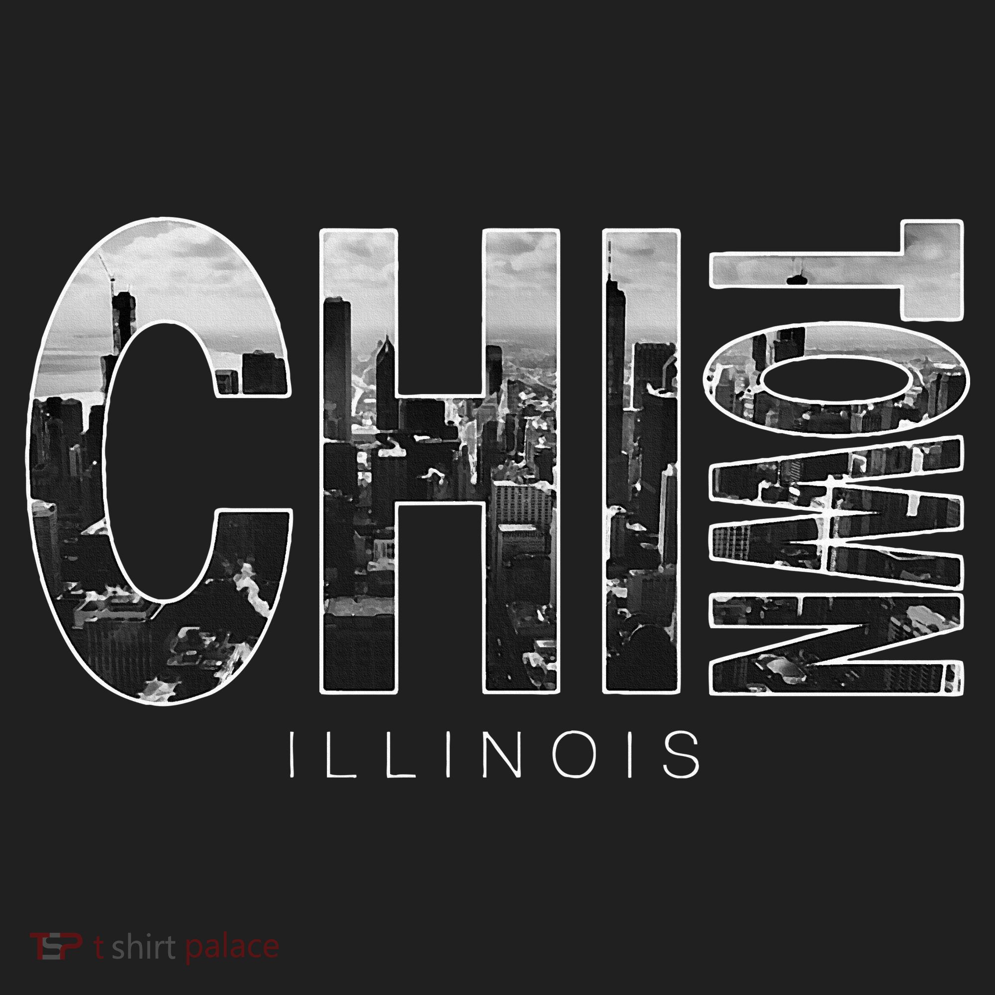 Illinois Chicago Skyline Chi Town Tumbler