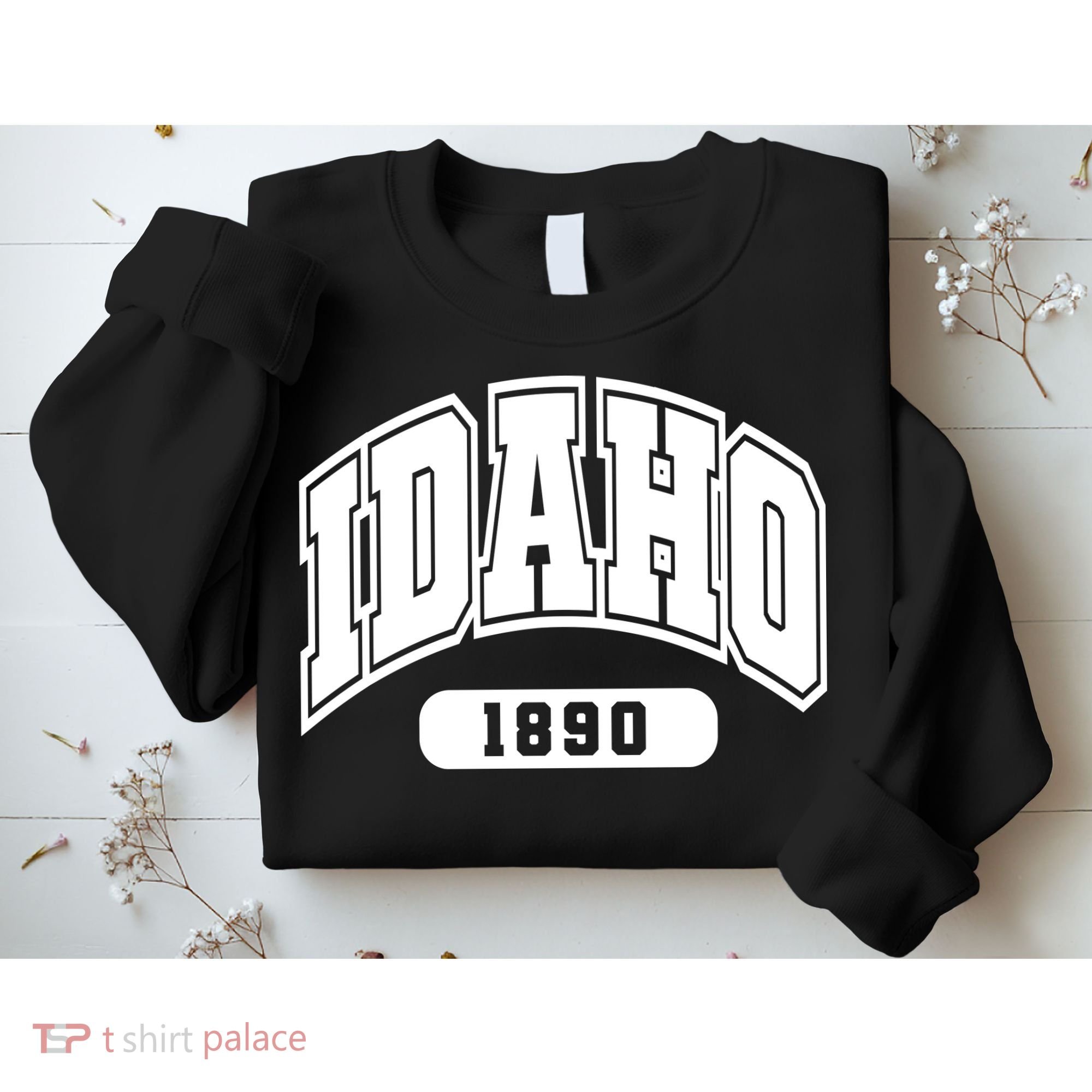 Idaho Collegiate Style 1890 Sweatshirt