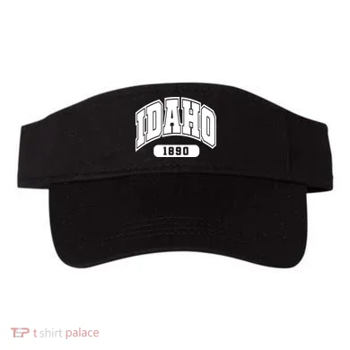 Visor