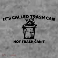 Its Called Trash Can Not Trash Cannot Racoon Toddler Hoodie thumb 2