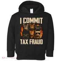 I Commit Tax Fraud Funny Cat Crew Toddler Hoodie thumb 0