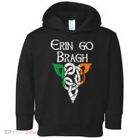 Ireland Celtic Trinity Knot Triquetra Irish Erin Go Bragh Toddler Hoodie thumb 0