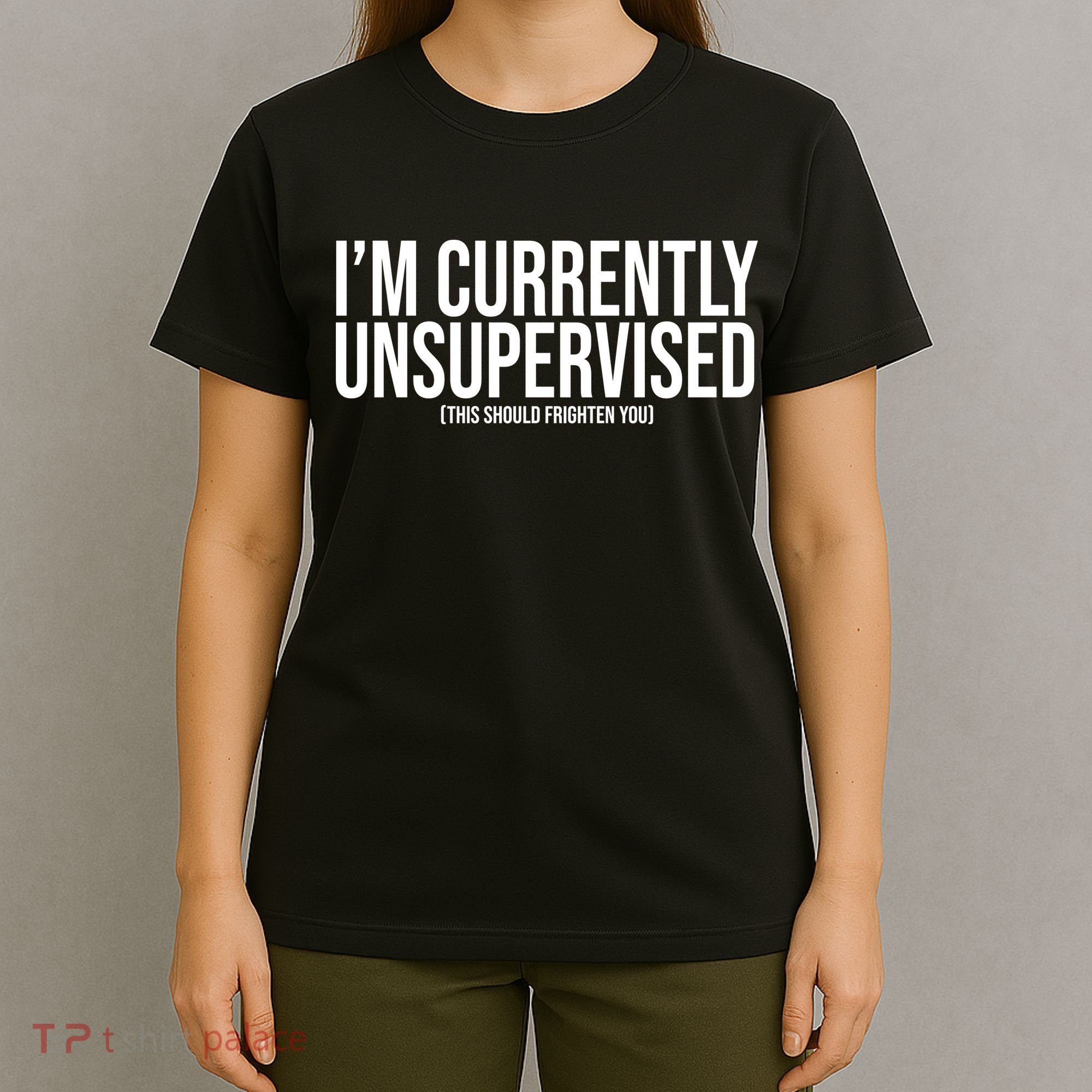 Im Currently Unsupervised This Should Frighten You Funny T-Shirt