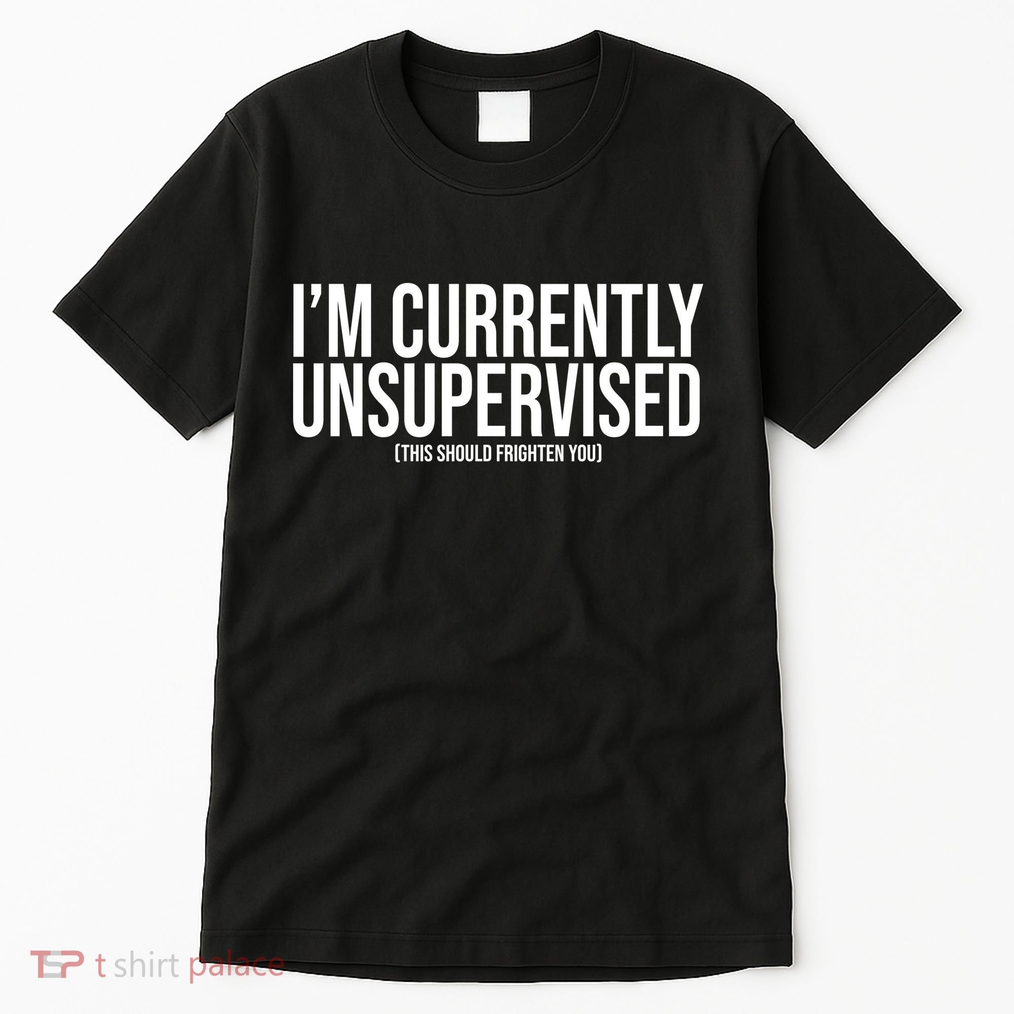 Im Currently Unsupervised This Should Frighten You Funny Tall T-Shirt