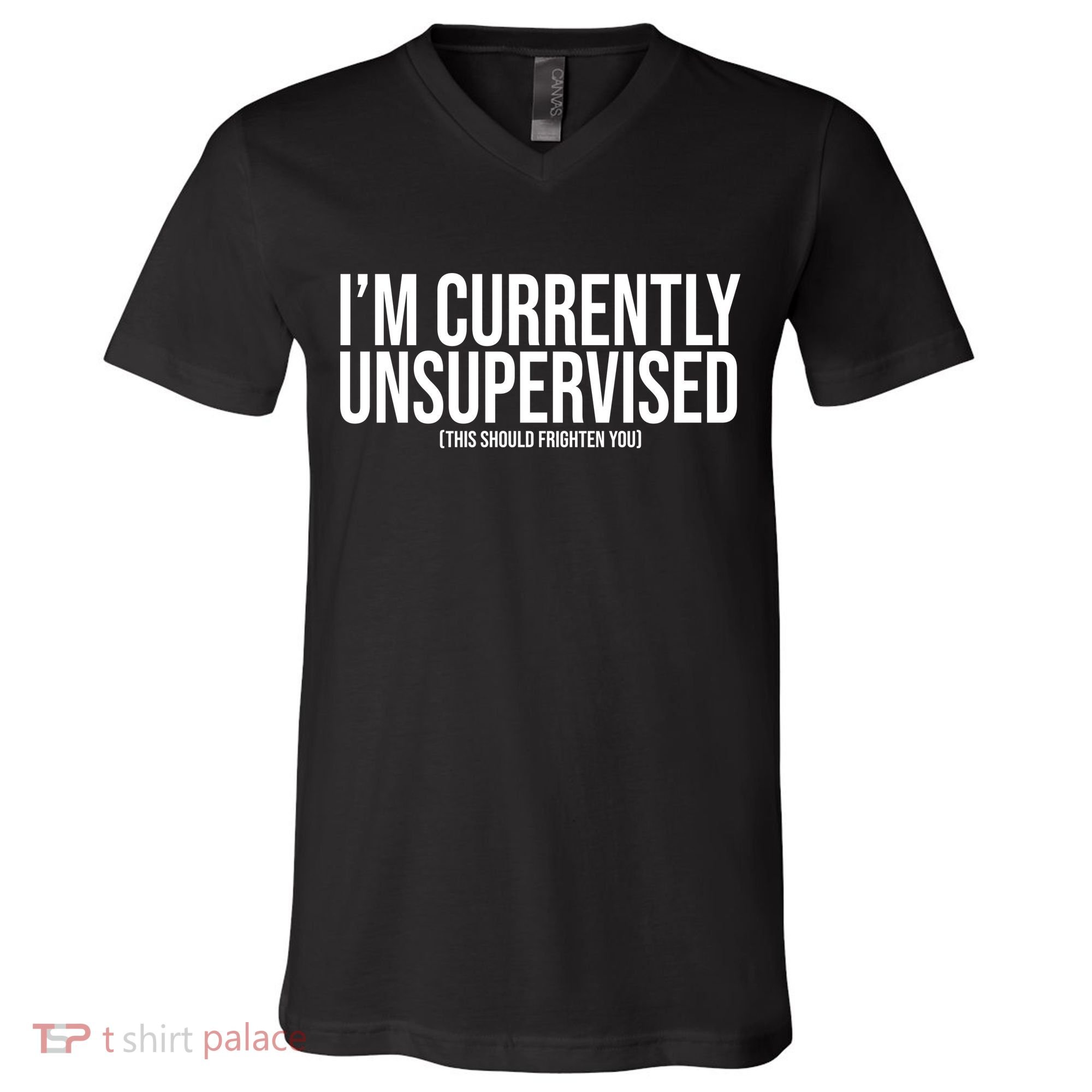 Im Currently Unsupervised This Should Frighten You Funny V-Neck T-Shirt