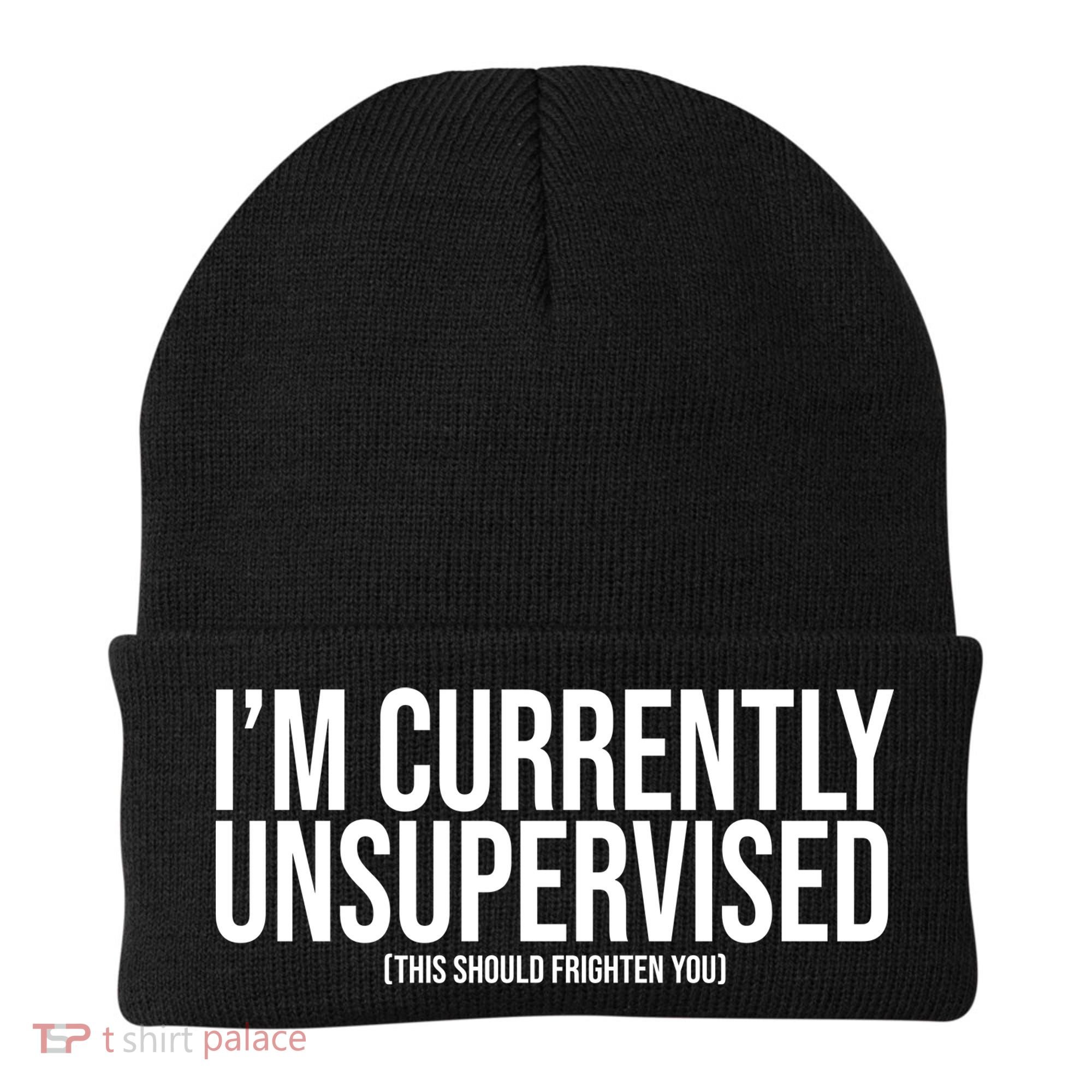 Im Currently Unsupervised This Should Frighten You Funny Beanie