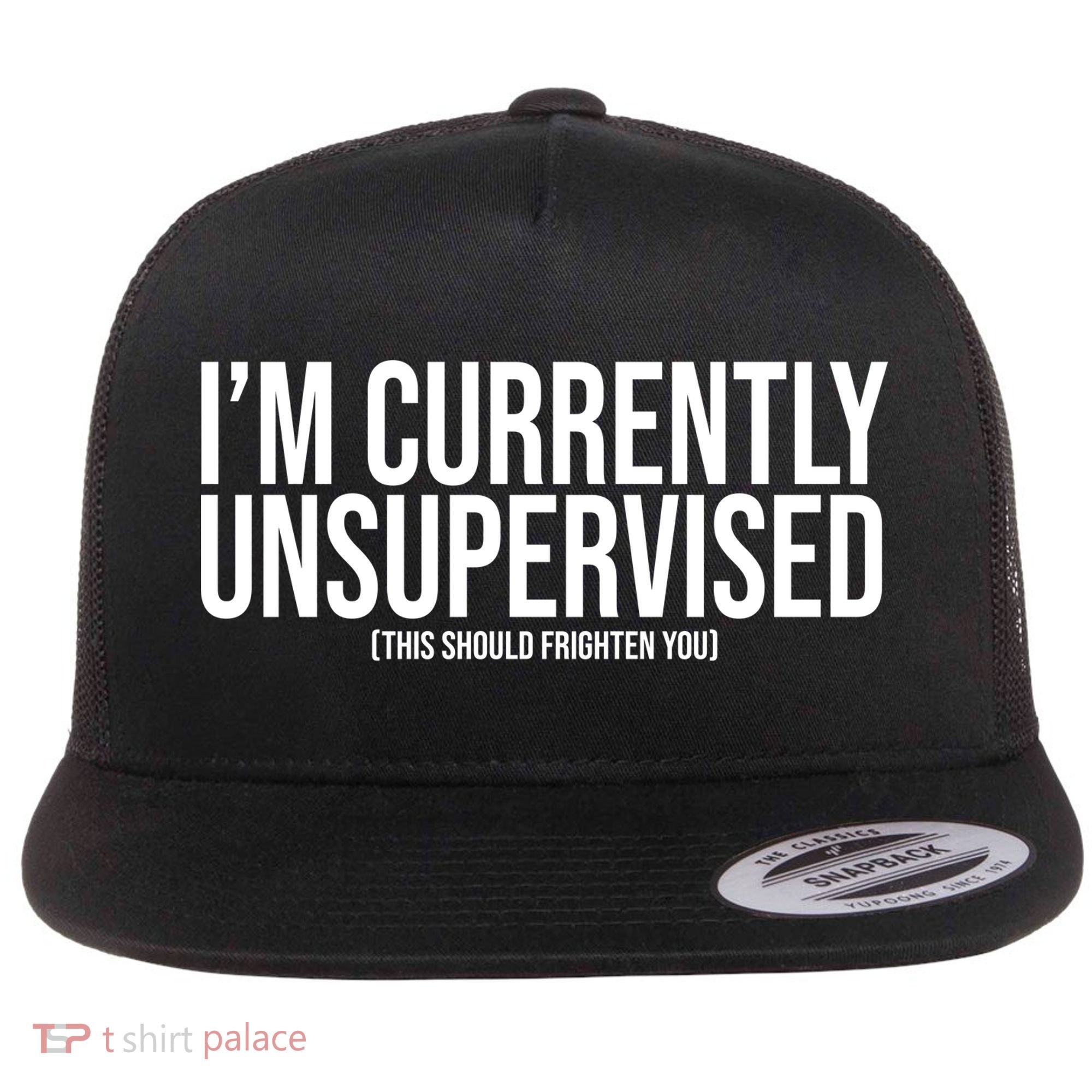 Im Currently Unsupervised This Should Frighten You Funny Flat Bill Trucker Hat