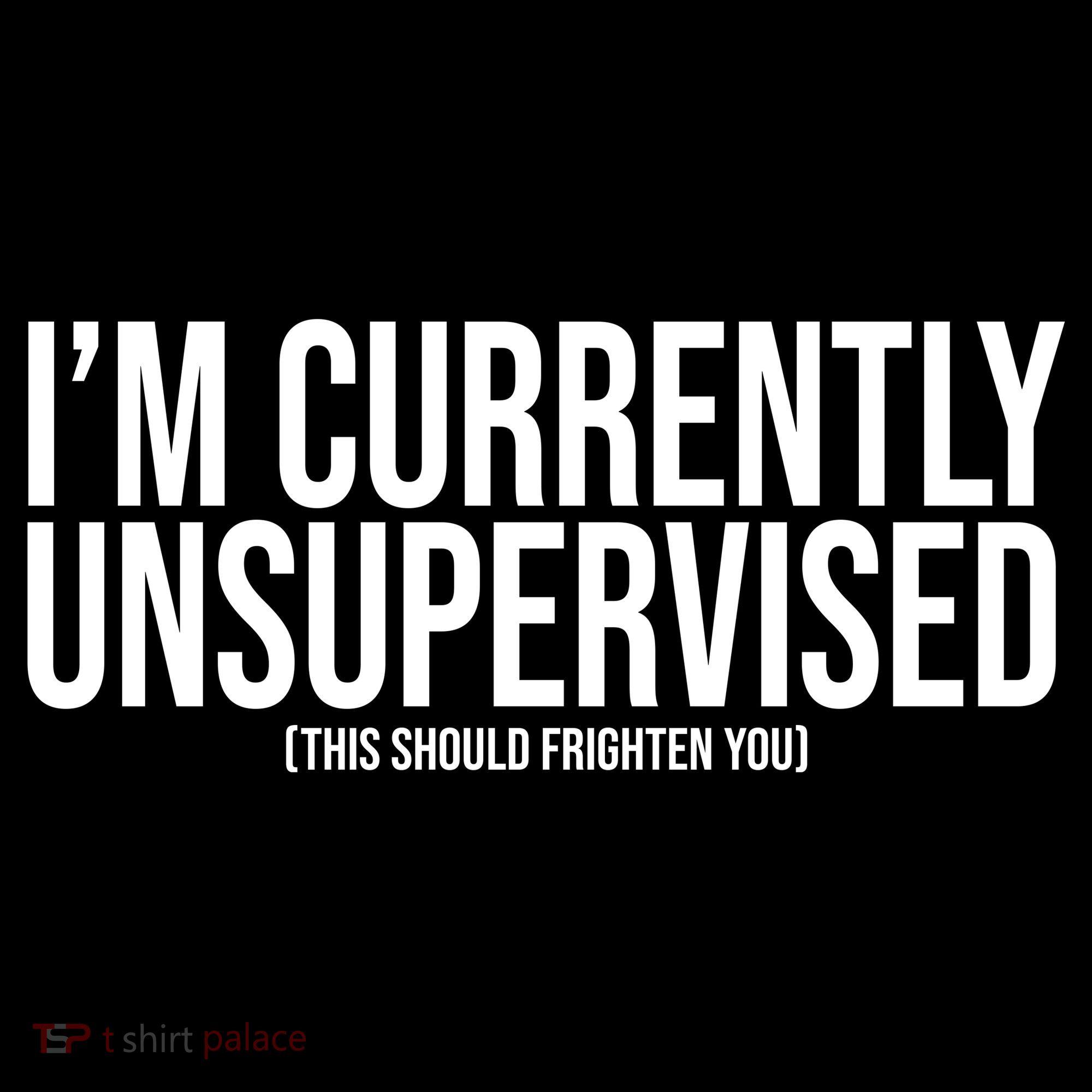Im Currently Unsupervised This Should Frighten You Funny Women's Hoodie