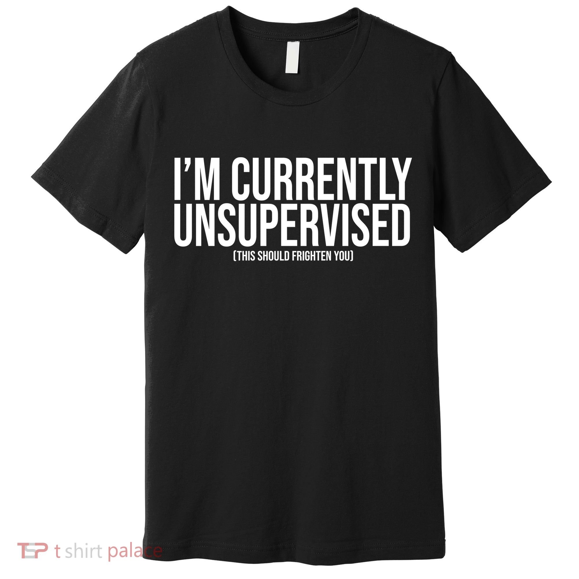 Im Currently Unsupervised This Should Frighten You Funny Premium T-Shirt