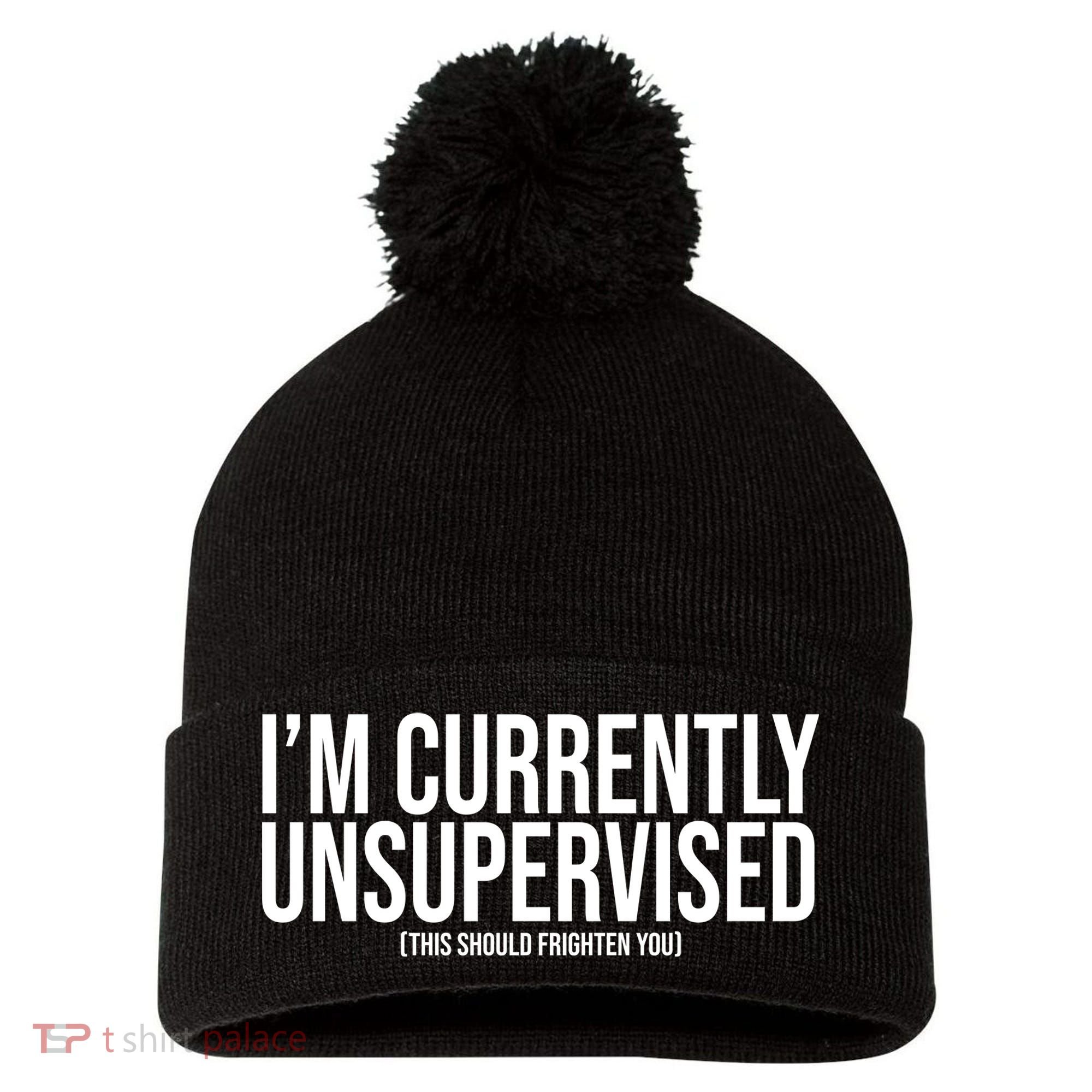 Im Currently Unsupervised This Should Frighten You Funny Pom Pom 12in Knit Beanie