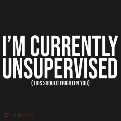 Im Currently Unsupervised This Should Frighten You Funny Women's T-Shirt