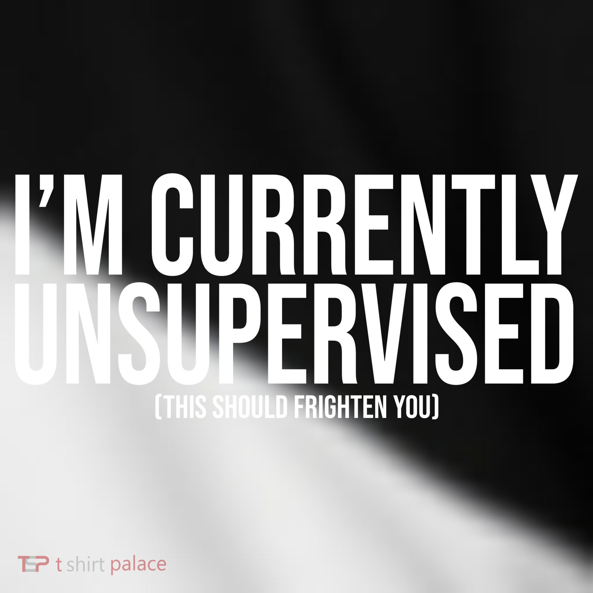 Im Currently Unsupervised This Should Frighten You Funny Toddler Fine Jersey T-Shirt