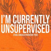 Im Currently Unsupervised This Should Frighten You Funny Kati Licensed 12" Camo Cuffed Beanie thumb 2