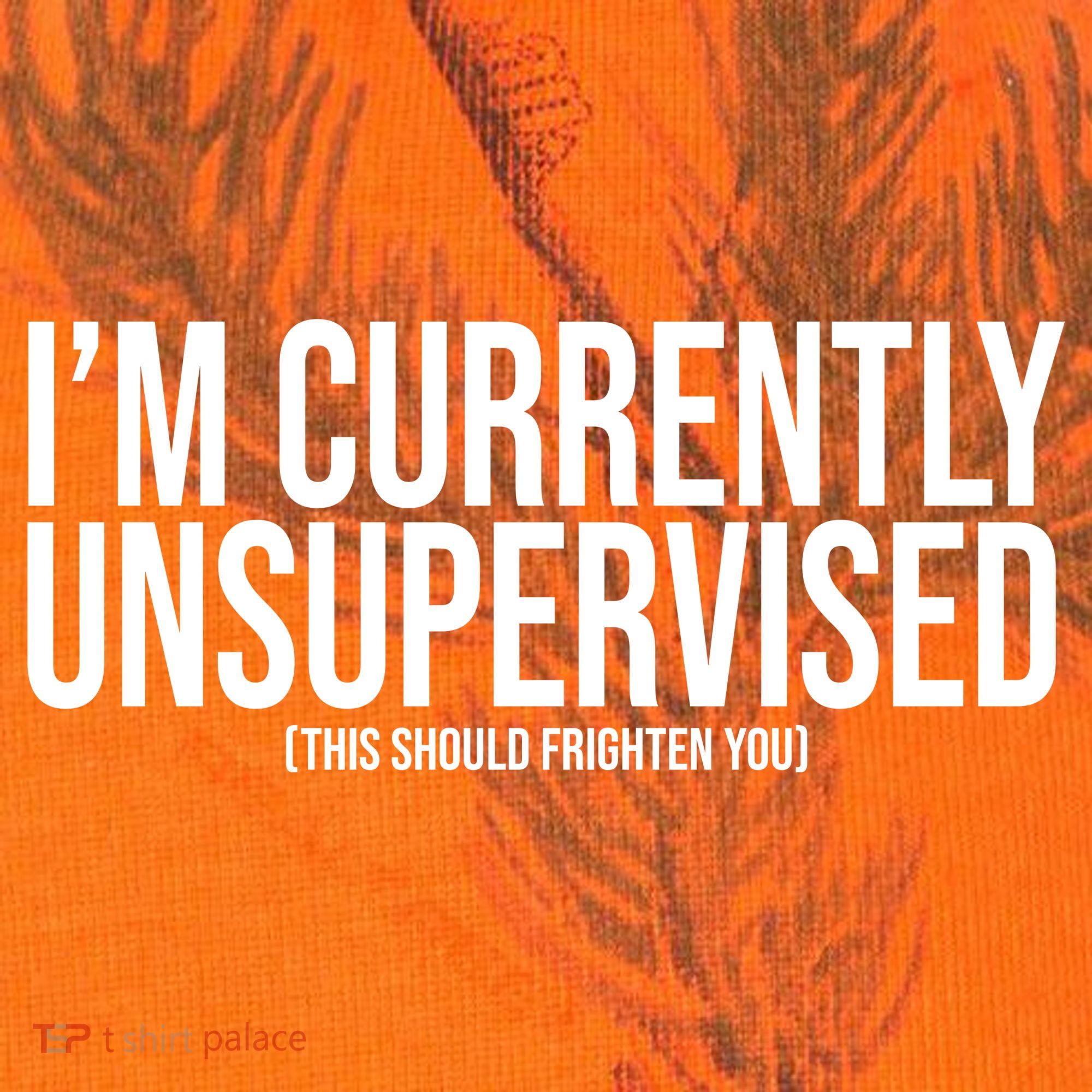 Im Currently Unsupervised This Should Frighten You Funny Kati Licensed 12" Camo Cuffed Beanie