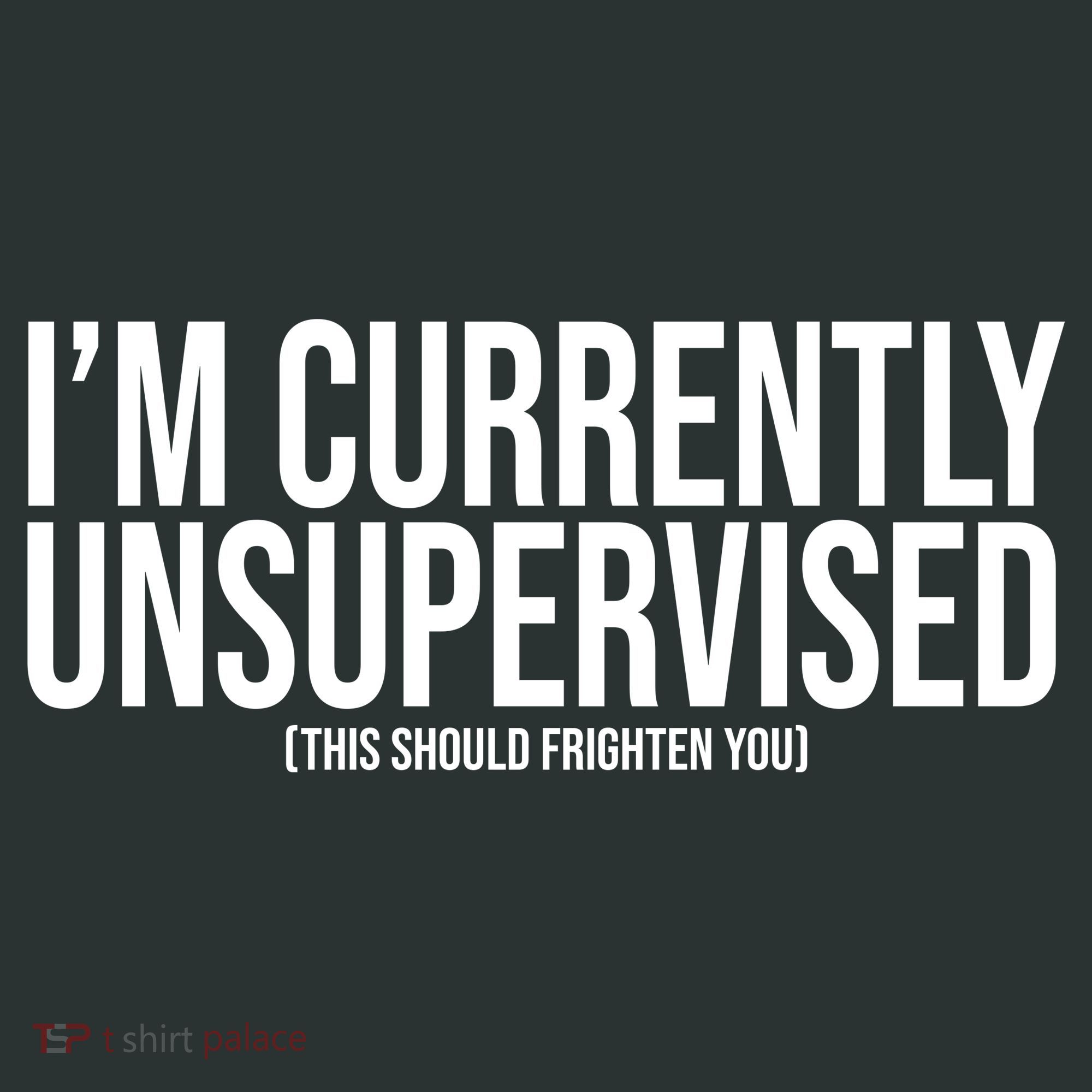 Im Currently Unsupervised This Should Frighten You Funny Infant Baby Jersey Bodysuit