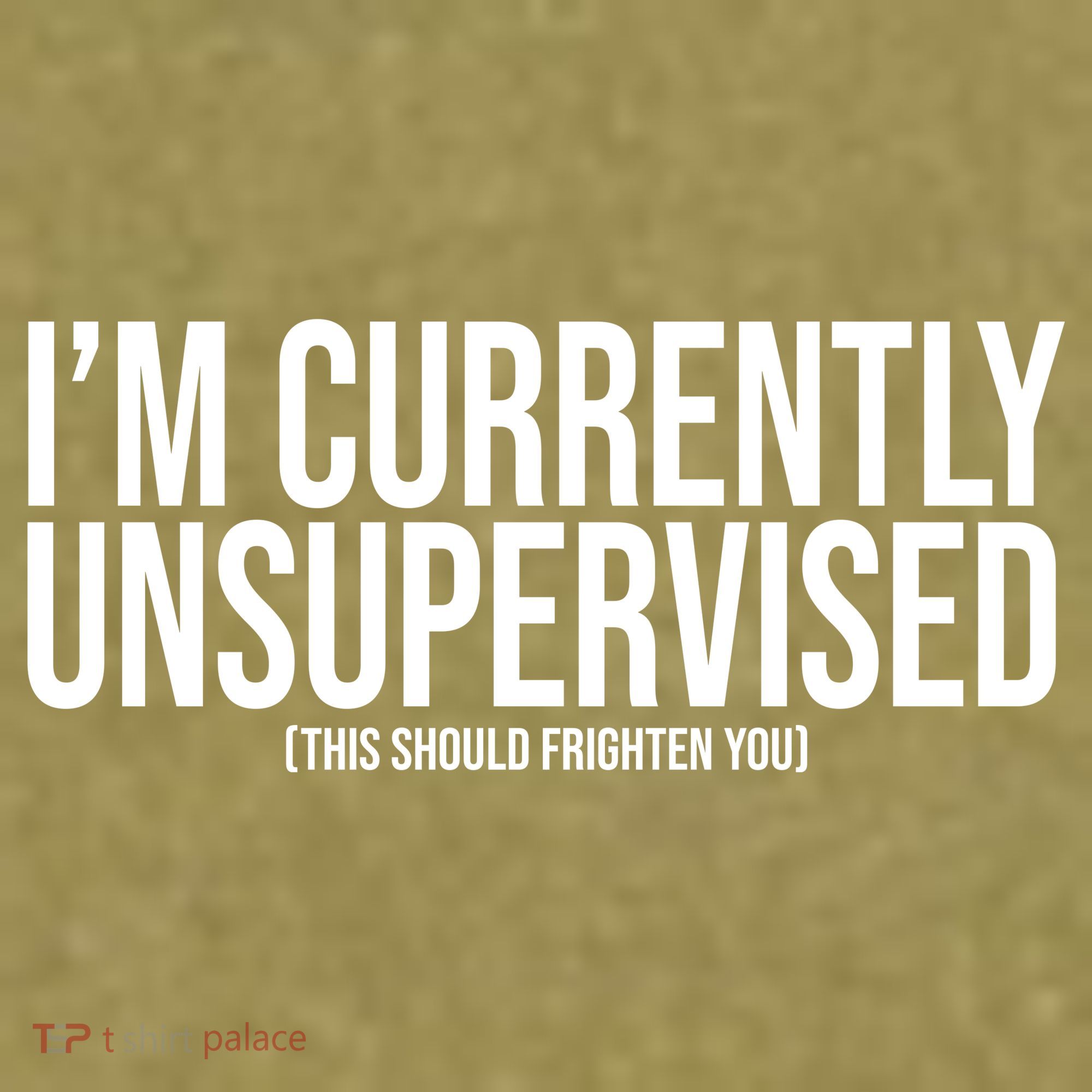 Im Currently Unsupervised This Should Frighten You Funny Garment-Dyed Women's Muscle Tee