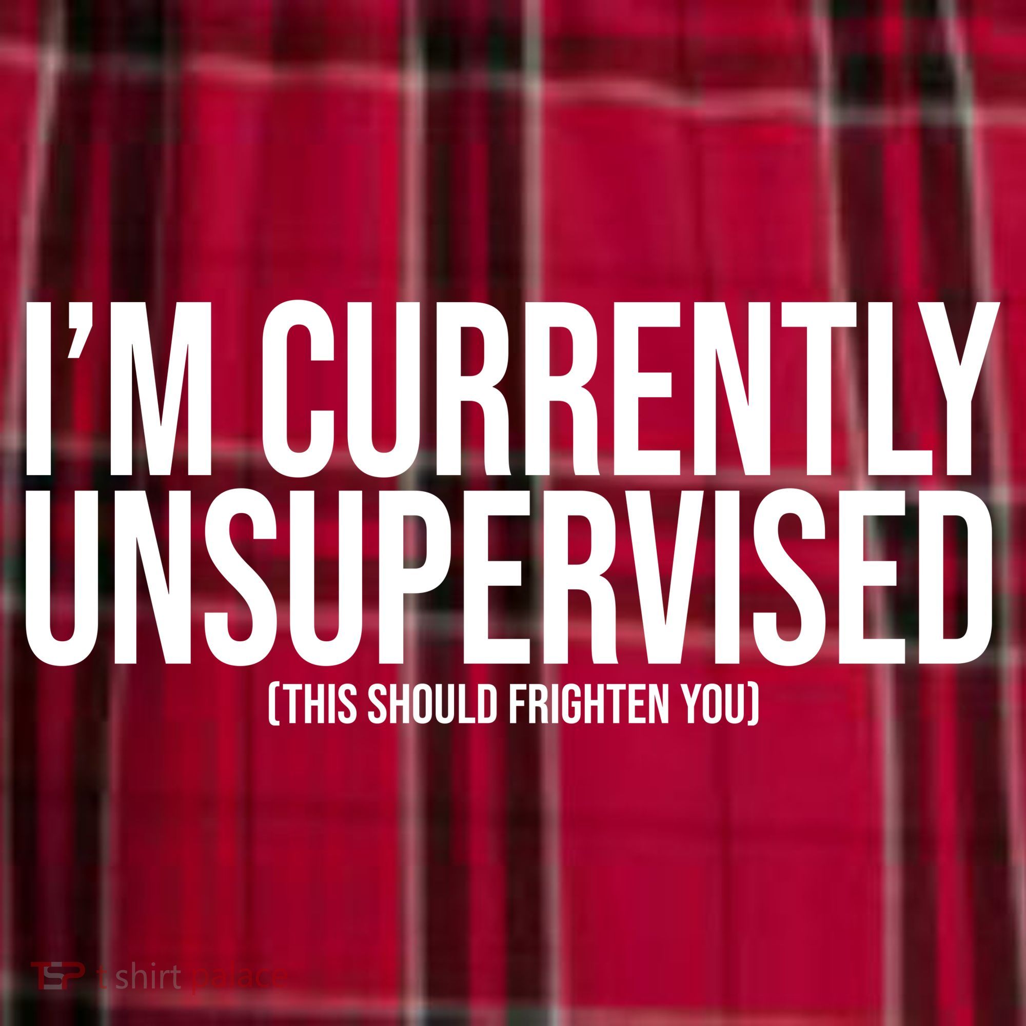 Im Currently Unsupervised This Should Frighten You Funny Women's Flannel Plaid Pajama Pants