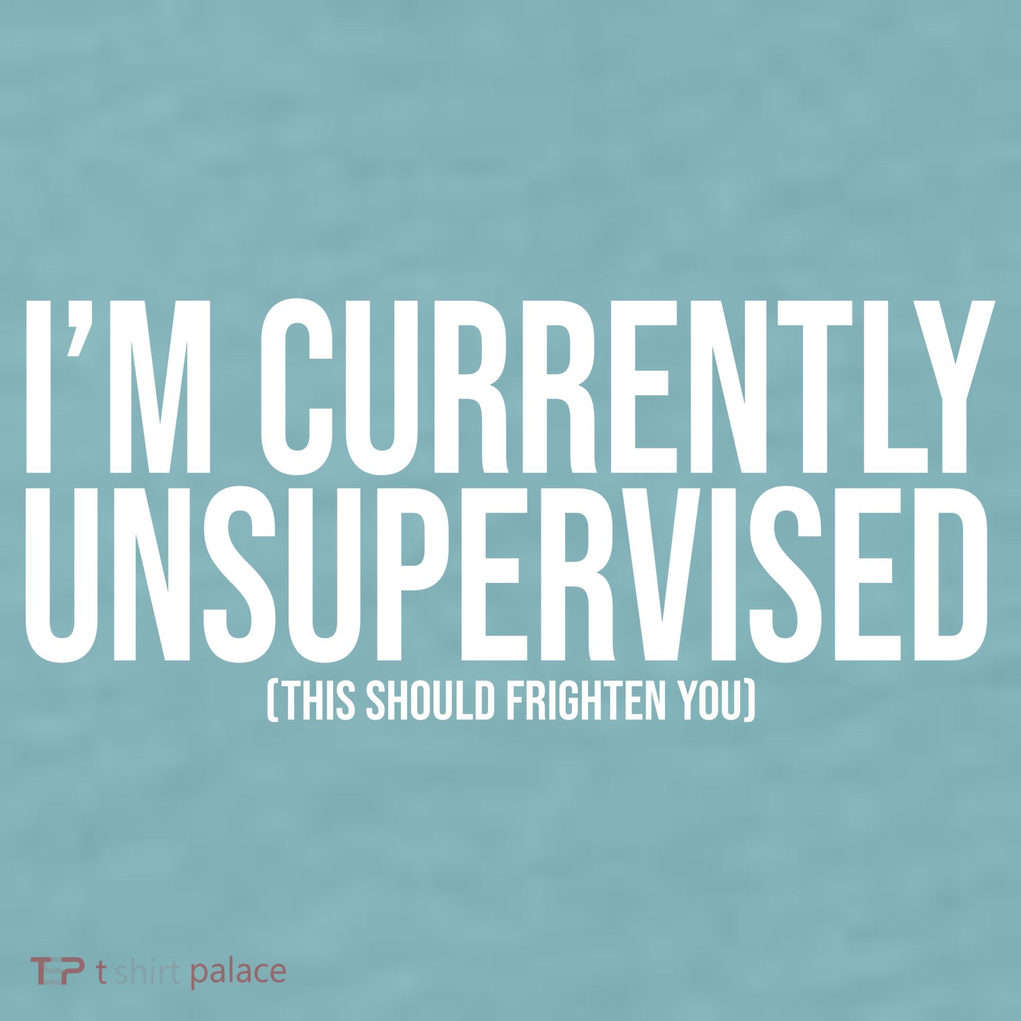Im Currently Unsupervised This Should Frighten You Funny Sueded Cloud Jersey T-Shirt