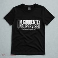 Im Currently Unsupervised This Should Frighten You Funny T-Shirt thumb 5