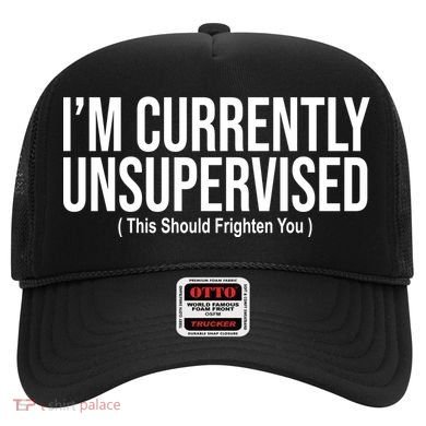 Im Currently Unsupervised This Should Frighten You Funny Hat
