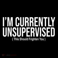 Im Currently Unsupervised This Should Frighten You Funny Toddler Hoodie thumb 2