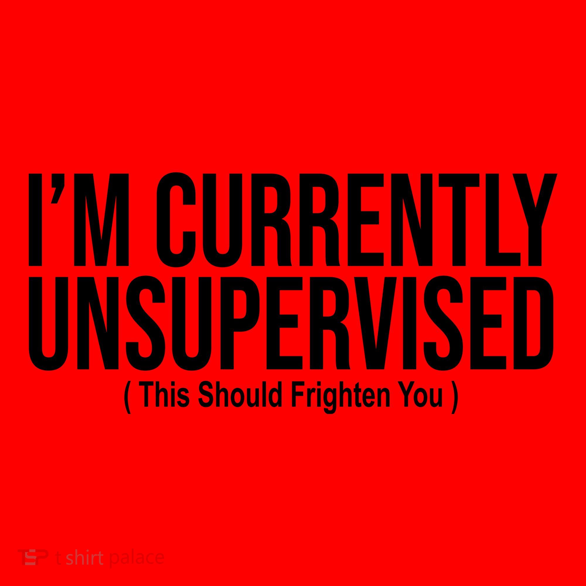 Im Currently Unsupervised This Should Frighten You Funny Santa Hat