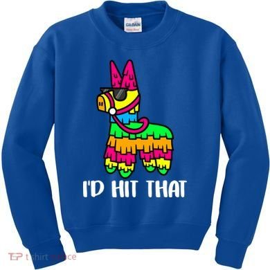 I'd Hit That Pinata Funny Party Kids Sweatshirt