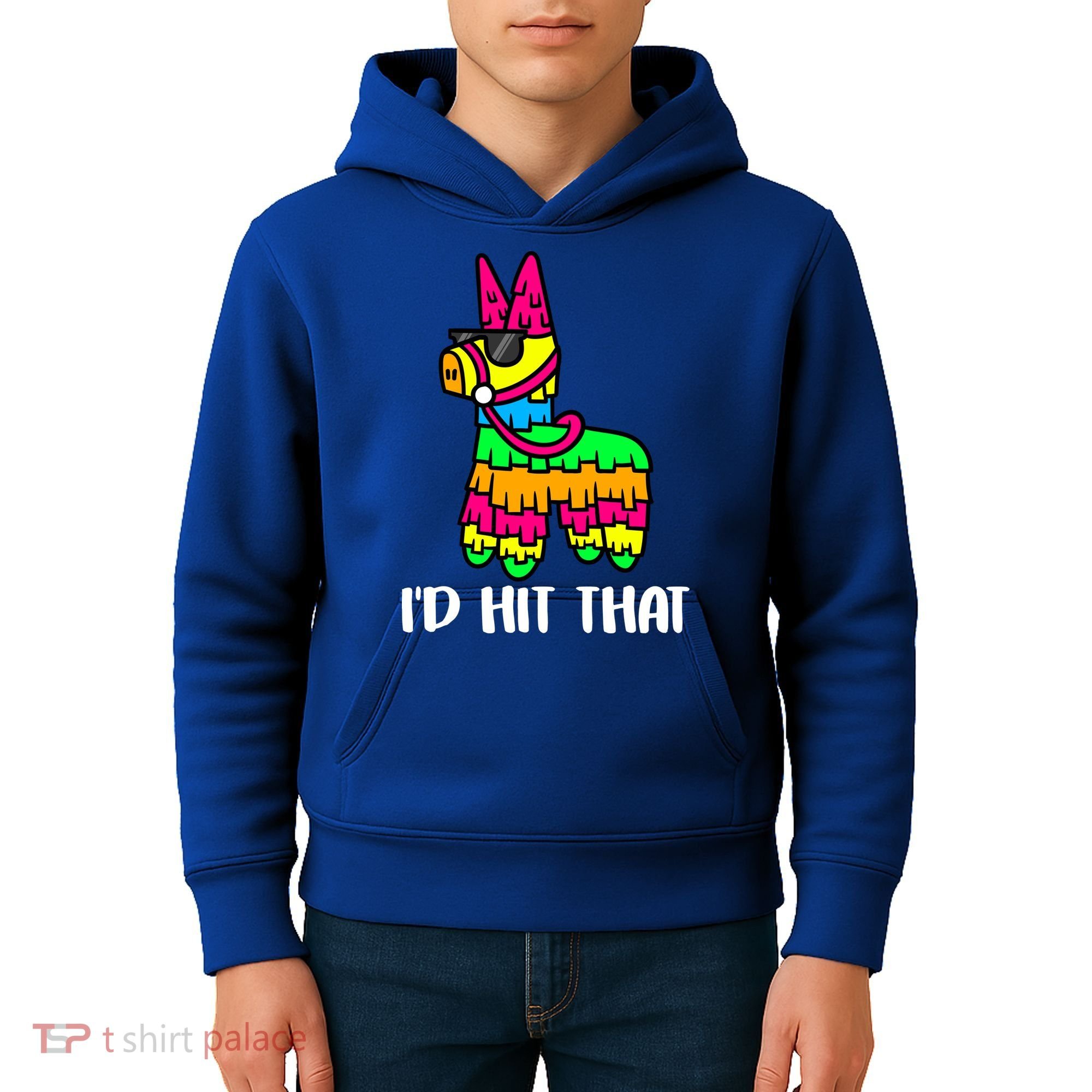 I'd Hit That Pinata Funny Party Kids Hoodie