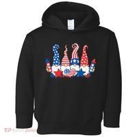 Independence Day 4th Of July Cute Gnomes Toddler Hoodie thumb 0