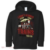 I Don't Always Stop And Look At Trains Gift Toddler Hoodie thumb 0