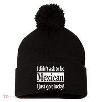 I Didn't Ask To Be Mexican I Just Got Lucky Pom Pom 12in Knit Beanie thumb 0