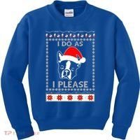 I Do As I Please Boston Terrier Ugly Christmas Sweater Cute Gift Kids Sweatshirt thumb 0
