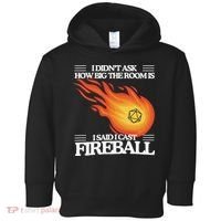 I Didnt Ask How Big The Room Is F.I.R.E.B.A.L.L Toddler Hoodie thumb 0