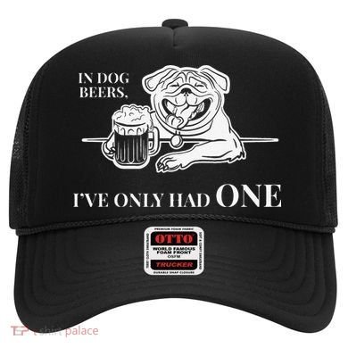 In Dog Beers Ive Only Had One Funny Drinking Hat