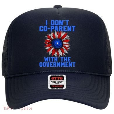 I Don't Co Parent With The Government Hat