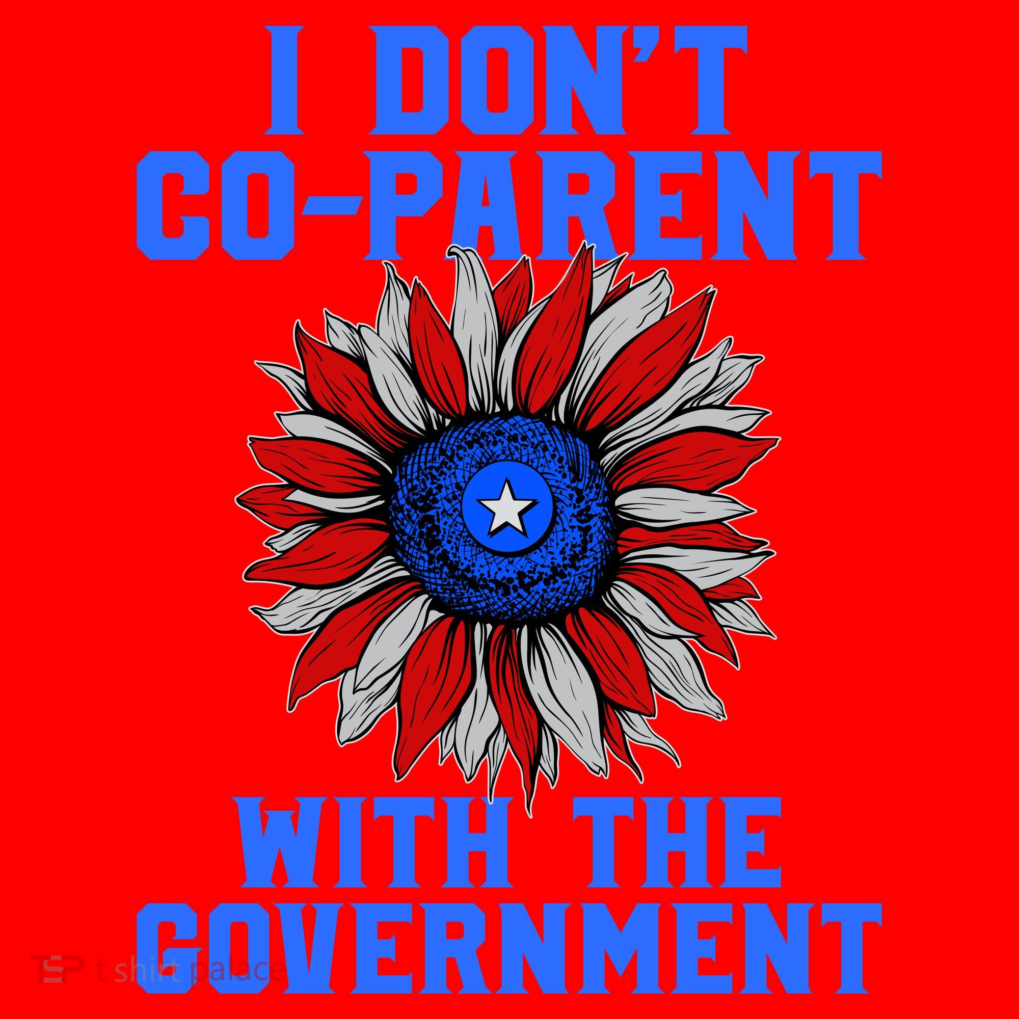 I Don't Co Parent With The Government Santa Hat
