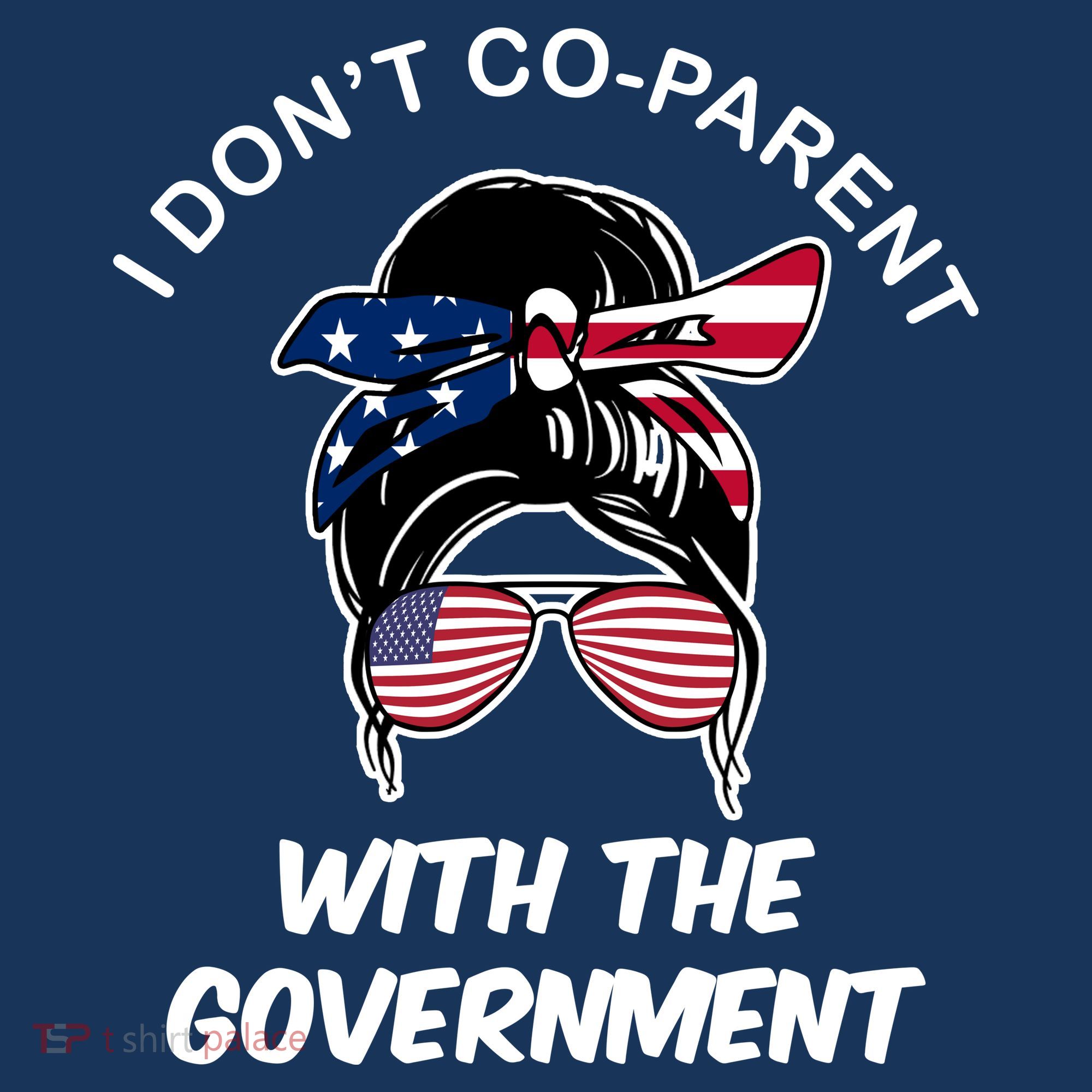 I Don't Co Parent With The Government Beanie
