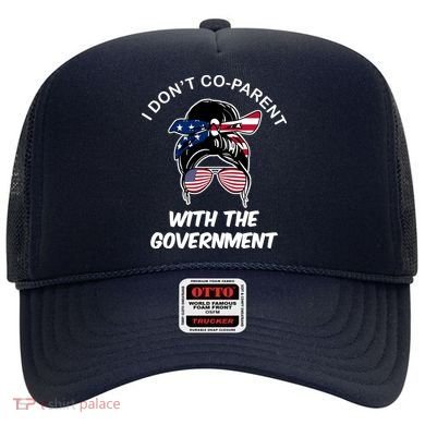 I Don't Co Parent With The Government Hat