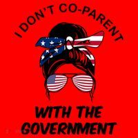 I Don't Co Parent With The Government Santa Hat thumb 1