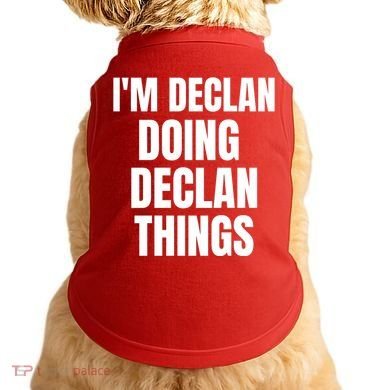 IM Declan Doing Declan Things Funny Birthday Name Gift Doggie Tank