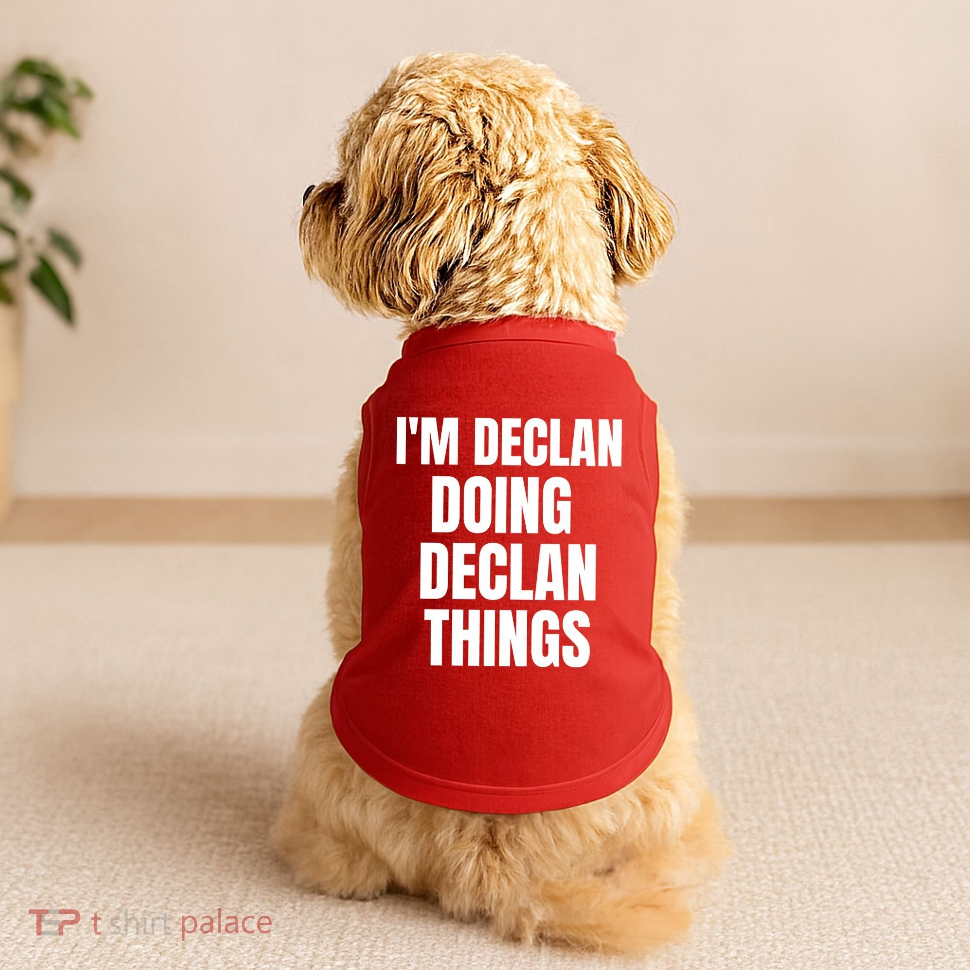 IM Declan Doing Declan Things Funny Birthday Name Gift Doggie Tank