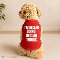 IM Declan Doing Declan Things Funny Birthday Name Gift Doggie Tank thumb 2